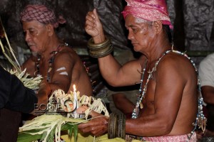 Ritual Belian Besiamper yang digelar Pemerintah Kabupaten Penajam Paser Utara tahun 2014 (Suherman - Hello Borneo)