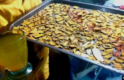 Contoh minuman mengandung curcumin yang terbuat dari tanaman obat herbal Indonesia. (Foto: VOA/ Petrus Riski)
