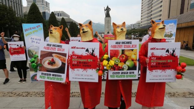 Aktivis vegetarian Korea Selatan mengenakan topeng anjing menggelar unjuk rasa menentang budaya Korea Selatan memakan daging anjing di Seoul, Korea Selatan, Kamis, 16 Juli 2020. (Foto: AP)