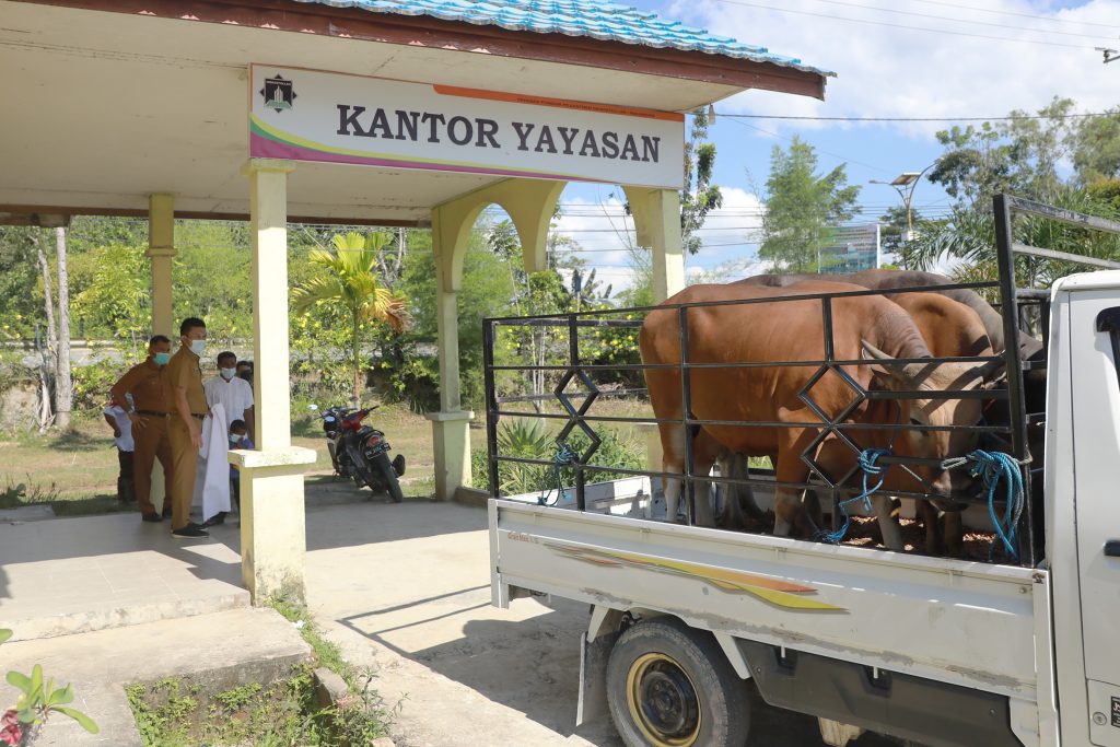 DIPASTIKAN SEHAT: Jelang perayaan Hari Raya Iduladha 1443 H, Gubernur Kaltara Drs H Zainal A. Paliwang meminta instansi terkait agar hewan kurban bebas penyakit. (Ist)