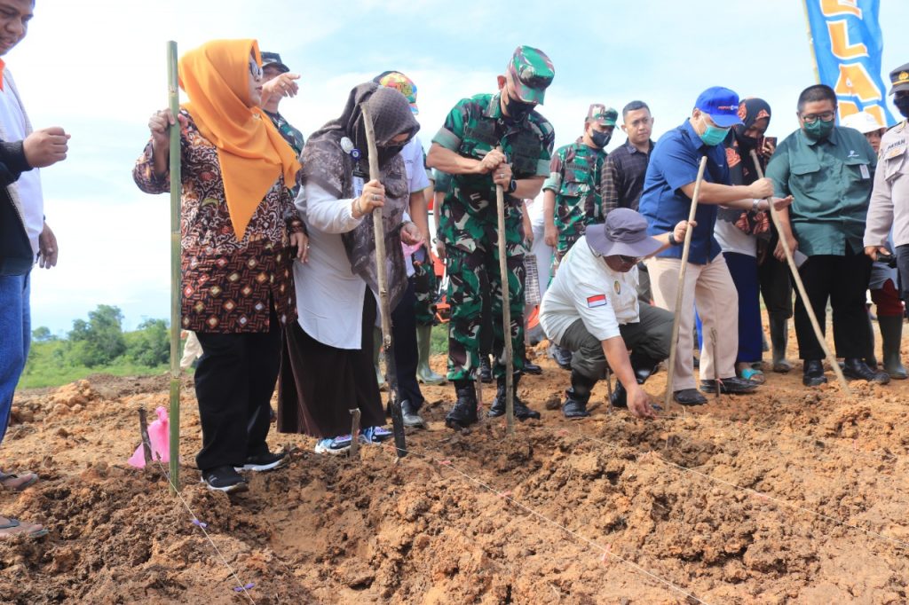 Pelatihan penanaman Sorgum bagi anggota TNI dari Kodam VI Mulawarman dan kelompok tani binaan. (Ist)