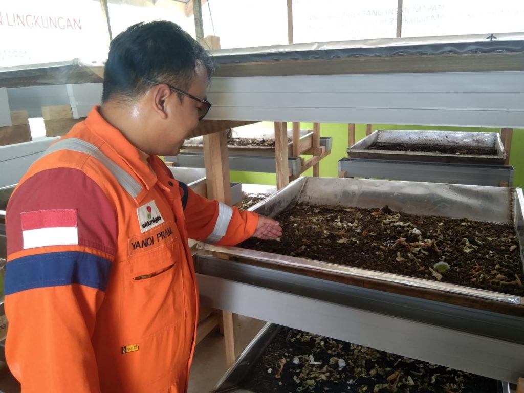 Pegawai PT PHKT melihat pengembang bahan pakan ikan air tawar dari lalat hitam. (ESY)