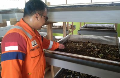 Pegawai PT PHKT melihat pengembang bahan pakan ikan air tawar dari lalat hitam. (ESY)