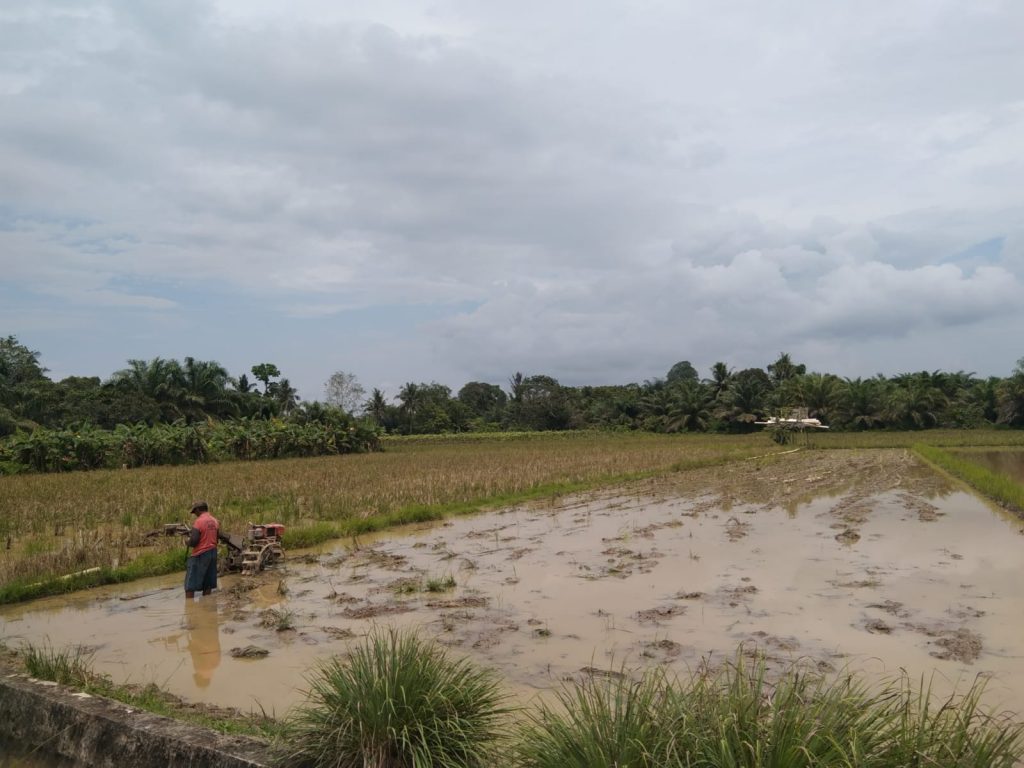 Lahan pertanian di Kabupaten PPU. (ESY)
