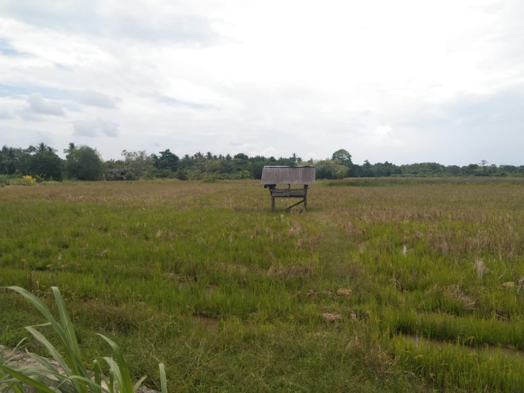 Lahan milik warga di Kabupaten PPU. (ESY)