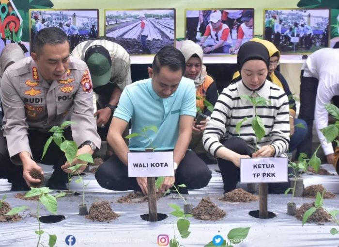 Pemkot Palangka Raya, salah satunya dengan melaksanakan gerakan menanam bersama. (Ist)