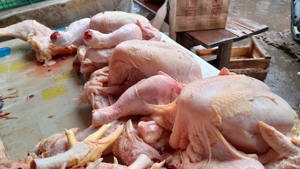 Harga daging ayam ras di Kota Palangka Raya. (Ist)