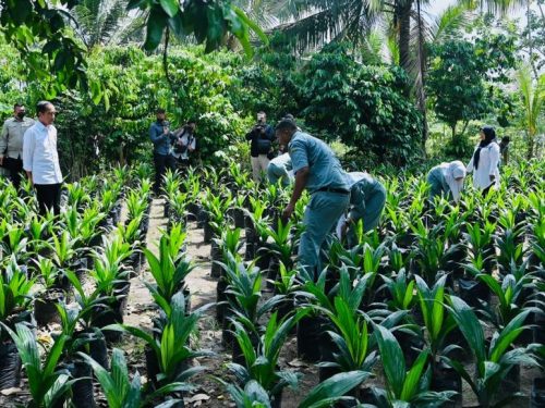 Jokowi sedang mengamati pelajar SMK. (Ist)