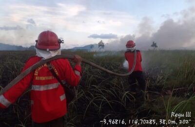 Kebakaran lahan di Kabupaten Tanah Laut. (Ist)