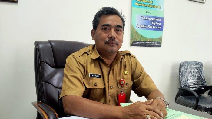 Kepala Dinas Ketahanan Pangan Kabupaten PPU, Mulyono. (Ist)