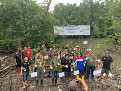 PT Pertamina Hulu Sanga Sanga Peringati Hari Mangrove Sedunia dan Dukung Pengurangan Emisi Karbon. (Ist)