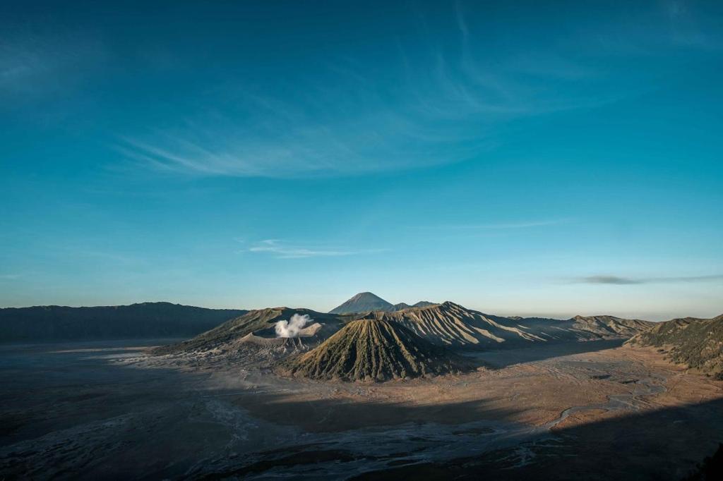 Kawasan hutan Gunung Bromo, Jawa Timur. (Ist) 