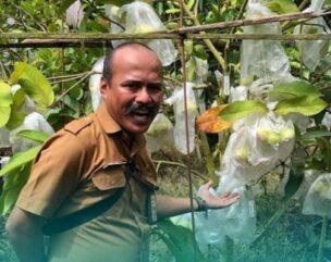 Lurah Petung, Achmad Fitriady saat berkunjung ke lahan pertanian beberapa waktu lalu. (Ist)