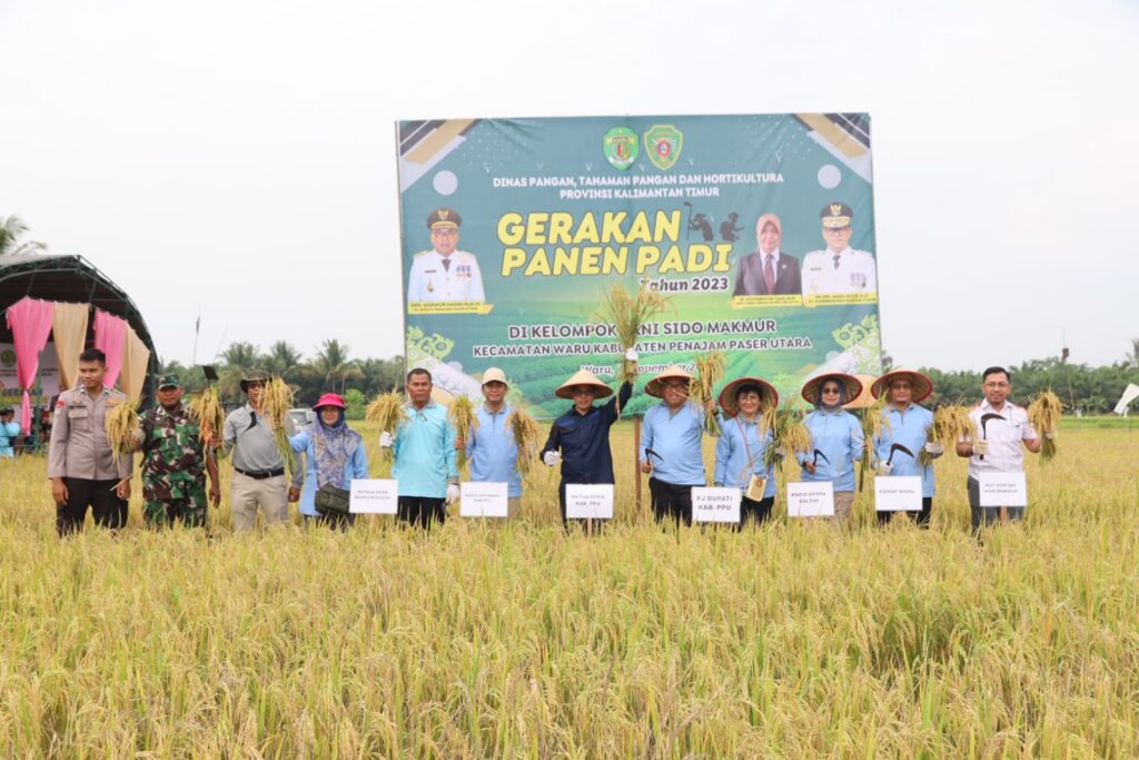 Pj. Bupati PPU Hadiri Panen Raya Bersama Petani Sido Makmur. (Ist)
