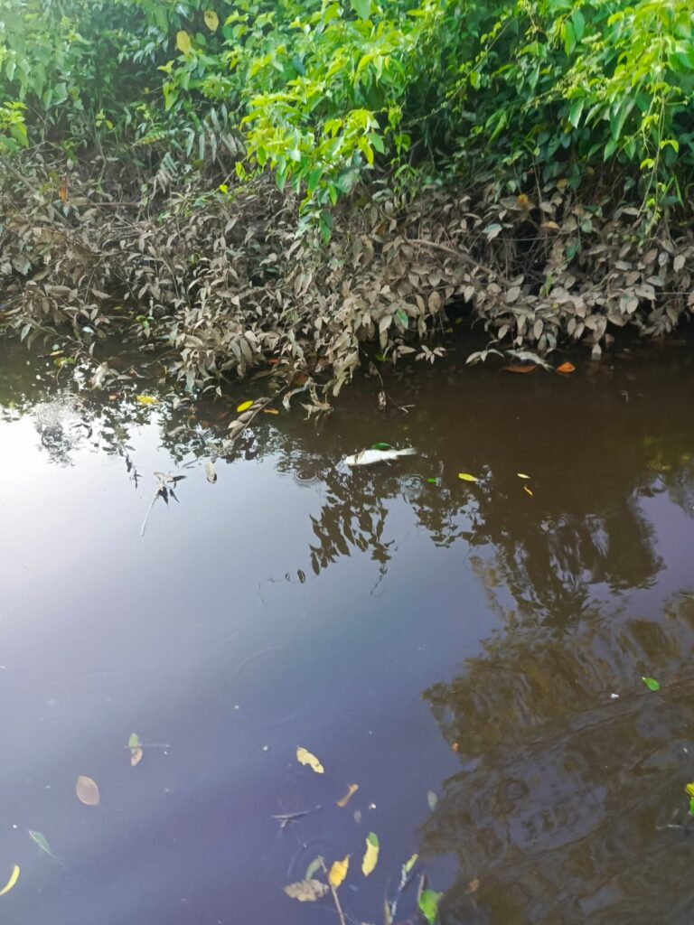 Dugaan Pencemaran Sungai Tunan. (Ist)
