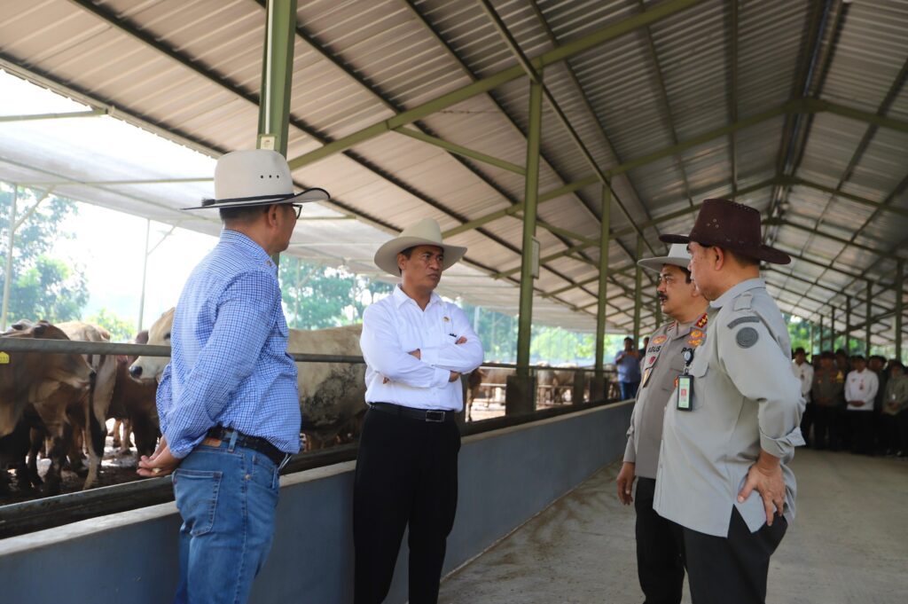 Lokasi kandang sapi hingga pabrik pakan mini milik penggemukan sapi PT. Lembu Setia Abadi Jaya (LSAJ) Farm Tangerang. (Ist)