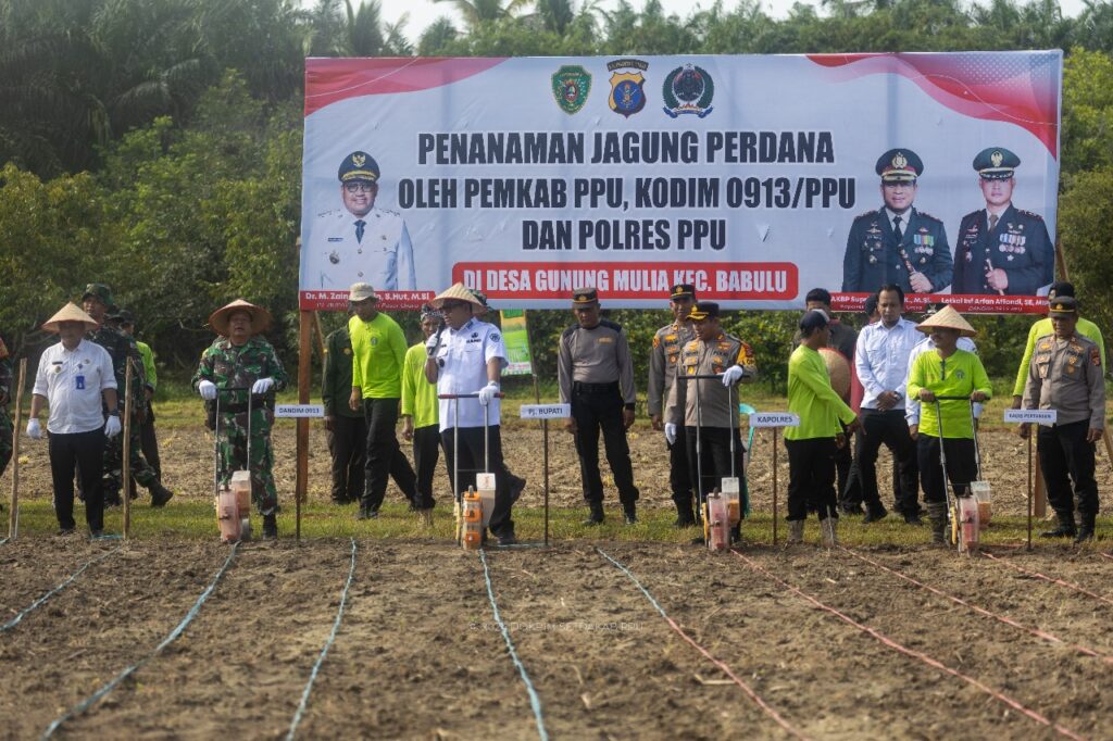 Kegiatan tanam jagung perdana di Desa Gunung Mulia. (Ist)