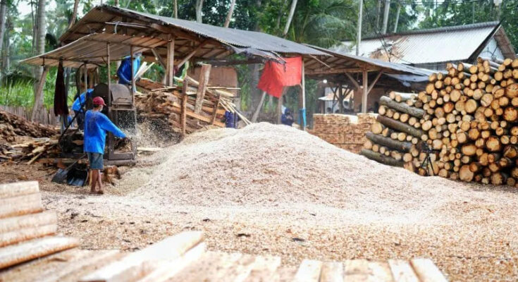 Pekerja memproduksi biomassa yang bersumber dari limbah kayu. (Ist)