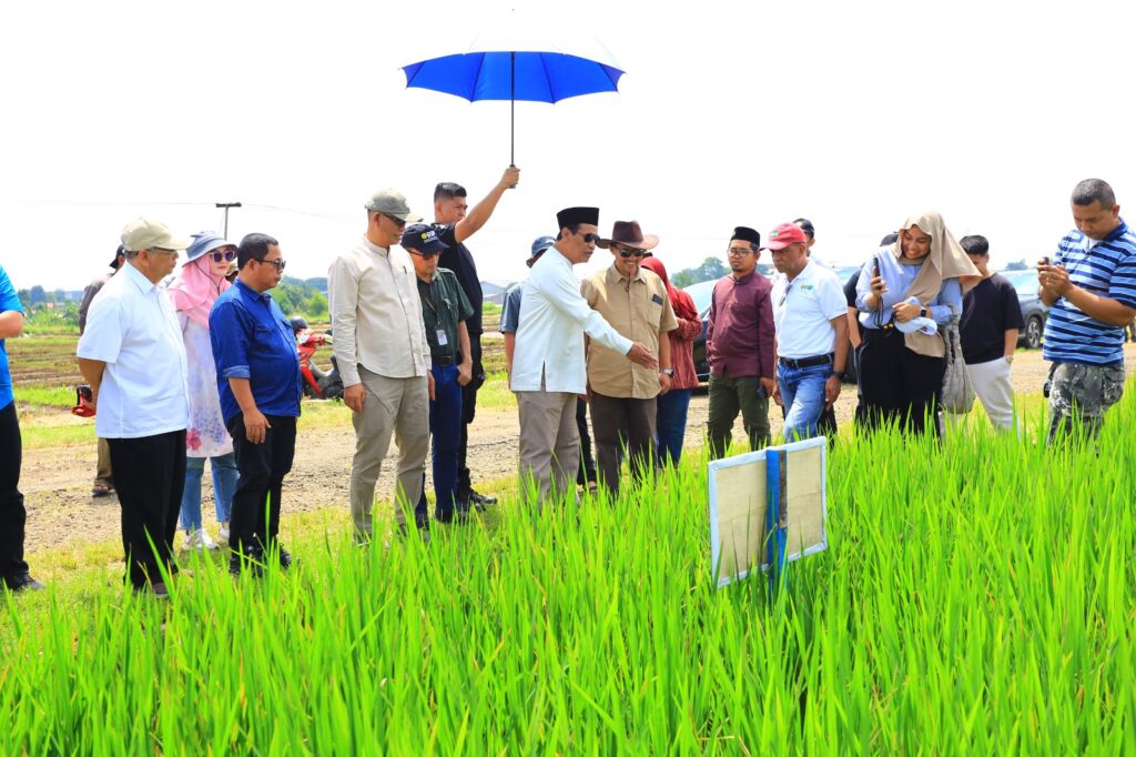 Inovasi Padi Jajar Legowo di Bogor. (Ist)