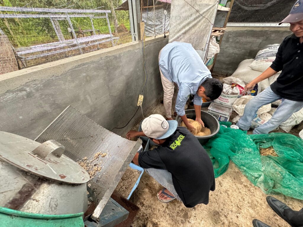 Pelatihan Peternakan Organik dan Pembuatan Pakan Alternatif. (Ist)