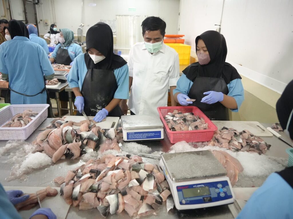 Ikan yang dipasok ke dapur makan bergizi. (Ist)