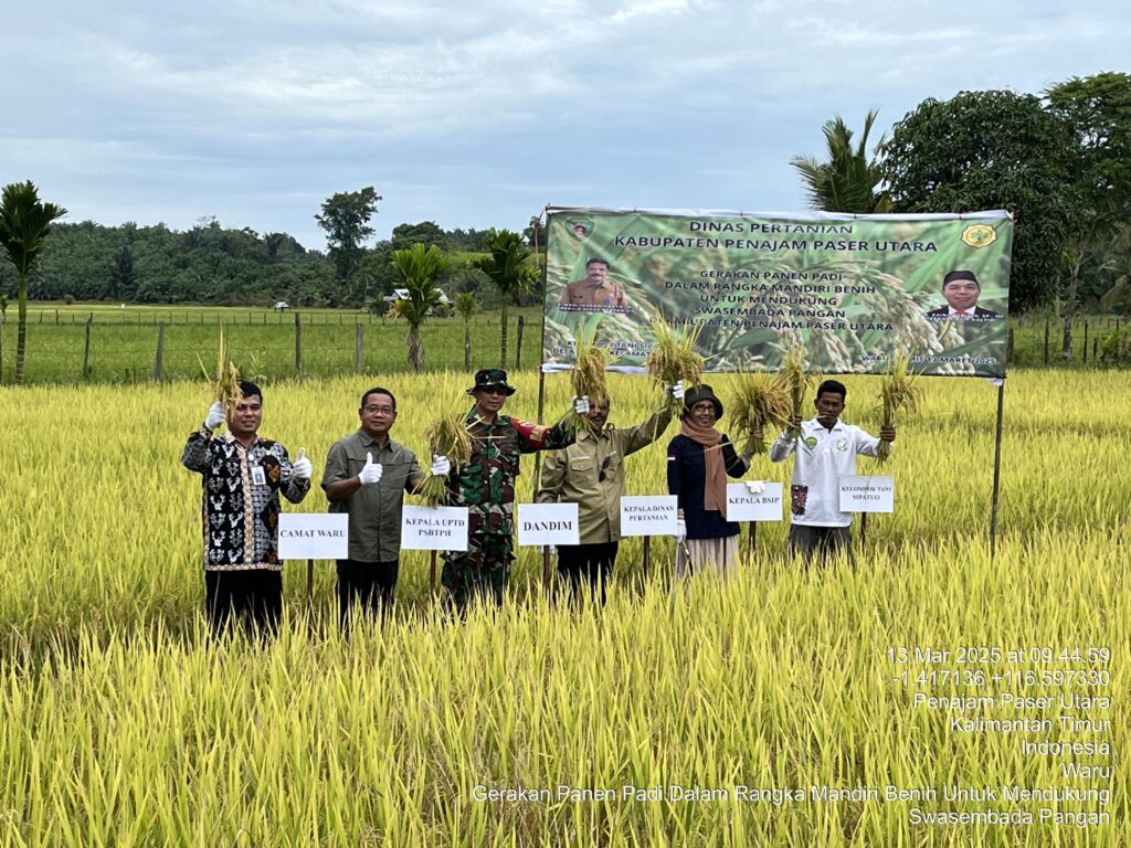 Gerakan Panen Padi di Waru. (Ist)