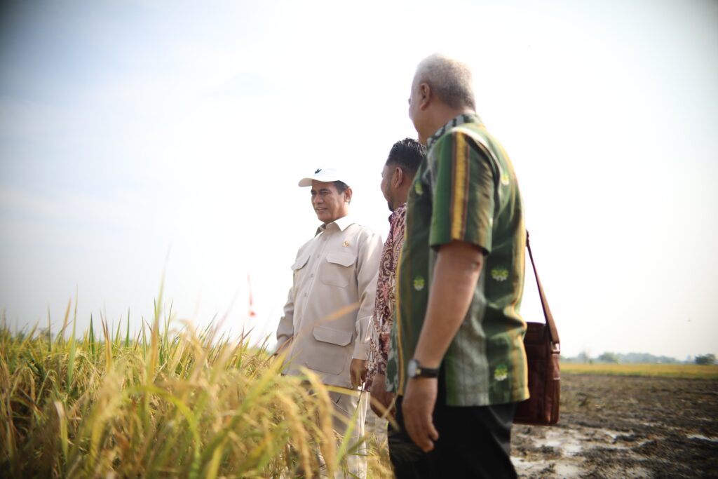 Kegiatan panen dan serap gabah di Kabupaten Gresik, Jawa Timur. (Ist)