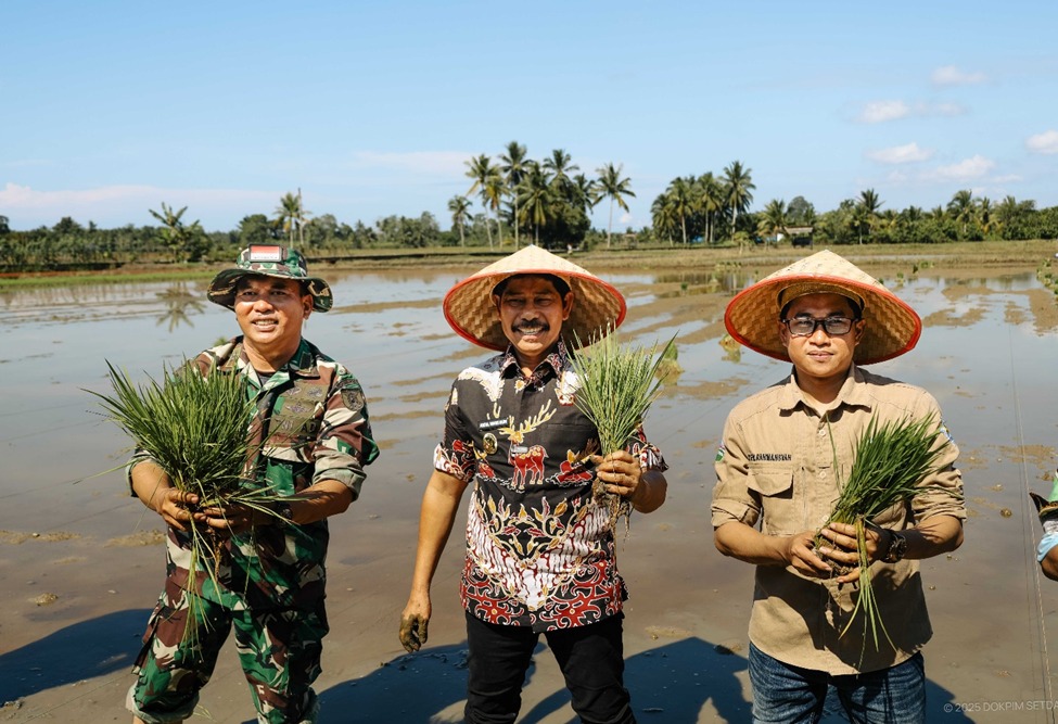 Wakil Bupati PPU, Abdul Waris Muin, atau akrab disapa Wabup Win, melakukan penanaman perdana (tandur) padi. (Ist)