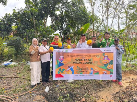 Program CSR PHKT Panen Raya Melon Golden. (Ist)