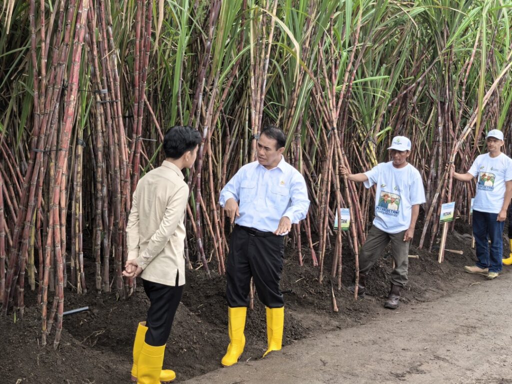 Menteri Pertanian (Mentan) Andi Amran Sulaiman. (Ist)