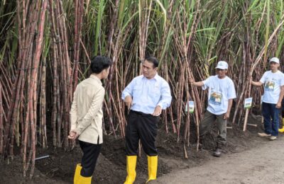 Menteri Pertanian (Mentan) Andi Amran Sulaiman. (Ist)