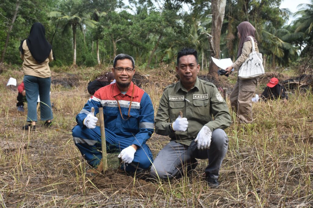 PT Pertamina Hulu Kalimantan Timur Kembali Tanam Pohon Cemara Udang di Marangkayu. (Ist)