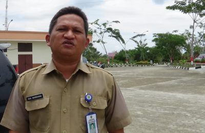 Direktur RSUD Sepaku Eka Wardhana. (Ist)