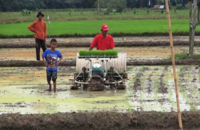 Petani PPU Mulai Mengolah Lahan Sawah