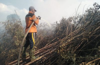Dok. Pemadaman Karhutla.