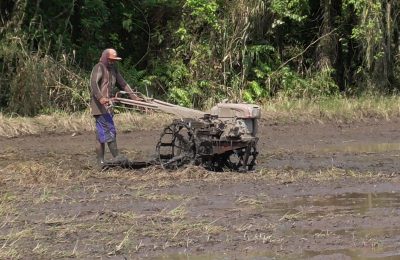 Petani Desa Sri Raharja.