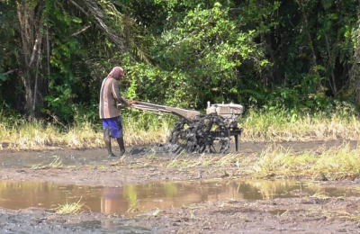 Petani Desa Sri Raharja