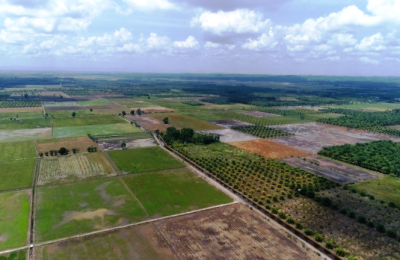 Foto Drone Sawah di Kecamatan Babulu
