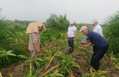 Foto Istimewa.