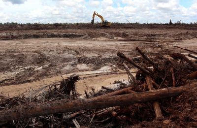 Pembukaan hutan untuk proyek pemerintah di Gunung Mas, Kalimantan, 5 Maret 2021. (Foto: AFP/Galih)