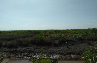 Lahan yang milic masyarakat yang perdah diserahkan ke pihak perusahaan. (Ist)