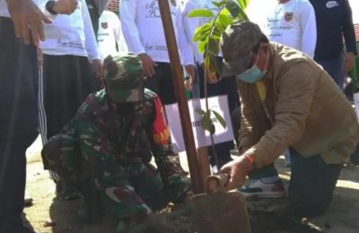 Penanaman pohon di Kalimantan Selatan. (Ist)