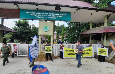Aksi kreatif damai di Kantor BPPHLHK Kalimantan Seksi Wilayah II di Kota Samarinda. (Ist)