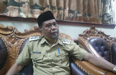 Wakil Bupati yang juga Plt Bupati Penajam Paser Utara, Hamdam Pongrewa (ESY)