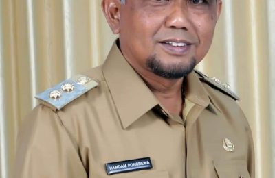 Wakil Bupati Penajam Paser Utara Hamdam Pongrewa yang kini telah menjabat sebagai Pelaksana tugas Bupati (ESY)