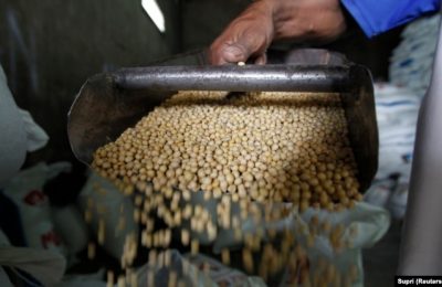Seorang pekerja tampak menyortir biji kedelai di salah satu gudang pabrik pembuatan tempe dan tahu di Jakarta, pada 25 Juli 2012. (Foto: Reuters/Supri)