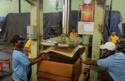 FILE - Pekerja mengepak tembakau yang akan dikirim ke beberapa industri besar rokok di Indonesia. (Foto: VOA/Petrus Riski).