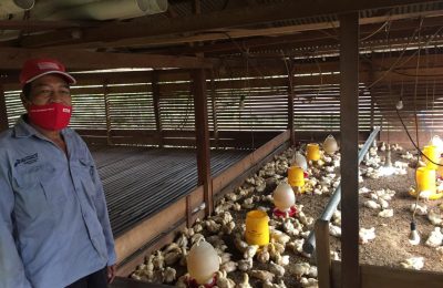 Integrated farming melalui program Gerbang Insan Mapan. (Ist)