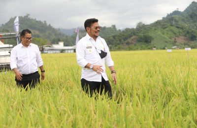 Menteri Pertanian Syahrul Yasin Limpo. (Ist)