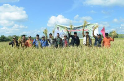 Bentuk rasa syukur terhadap keberhasilan Panen Padi. (Ist)